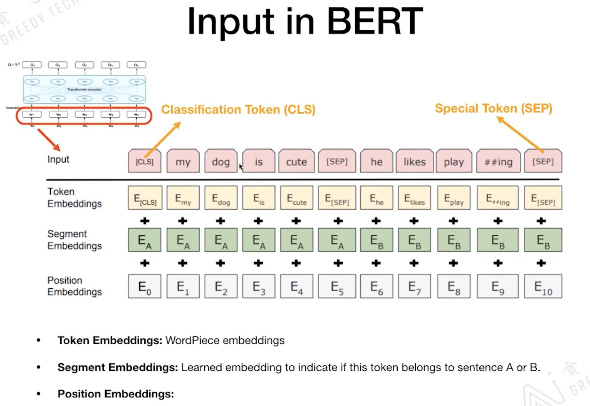 BERT tutorial